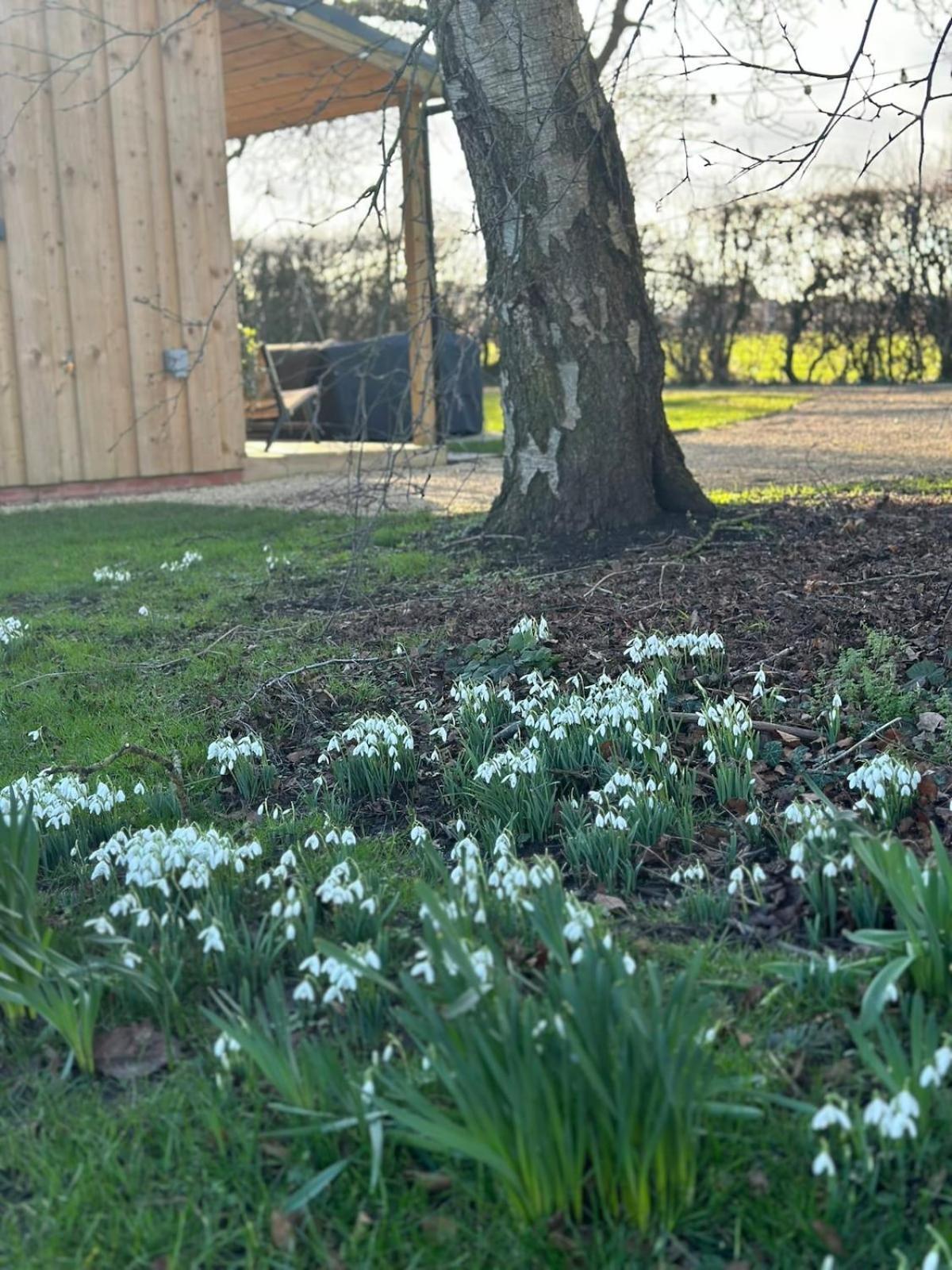 Meadows Lodge York Esterno foto