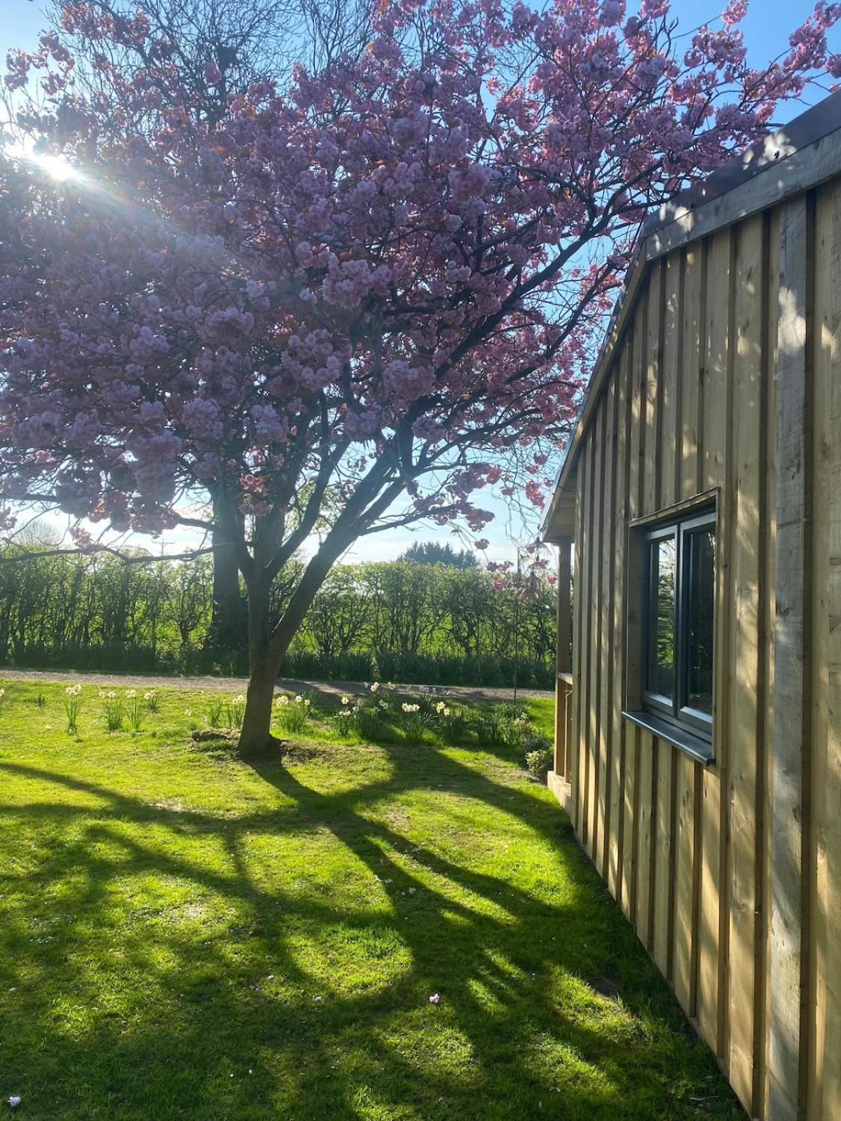 Meadows Lodge York Esterno foto